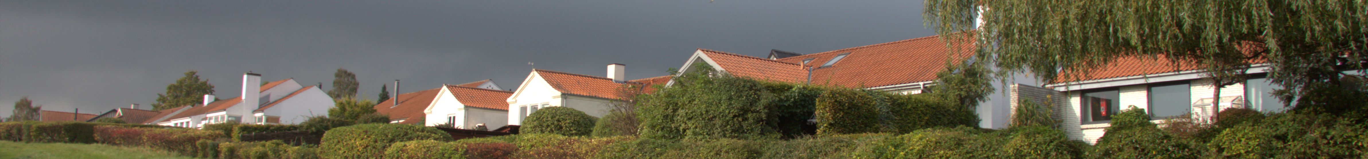 Sørækken i Dalsø Park