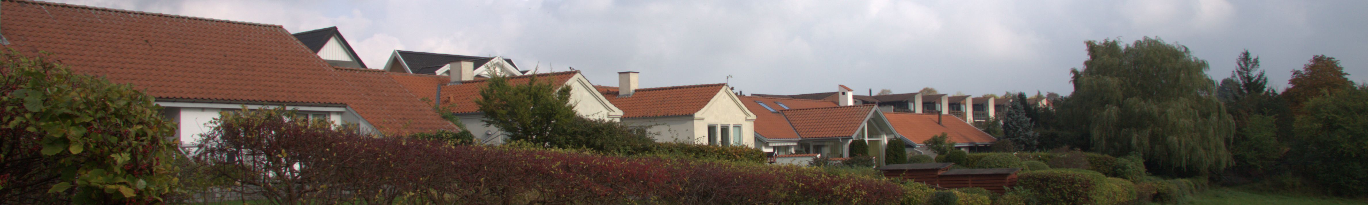 Sørækken i Dalsø Park