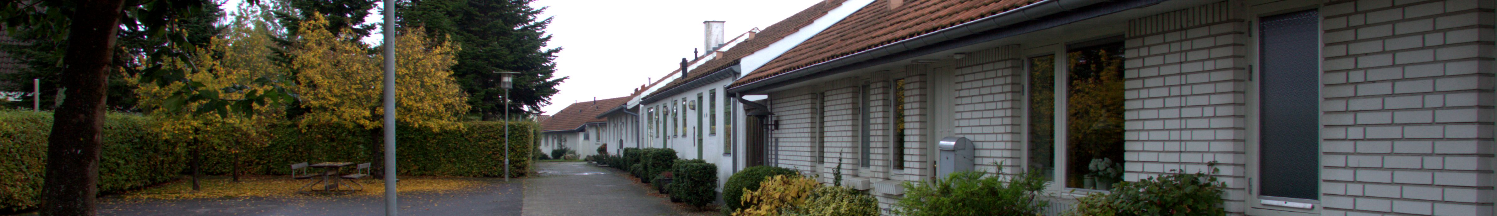 Sørækken i Dalsø Park