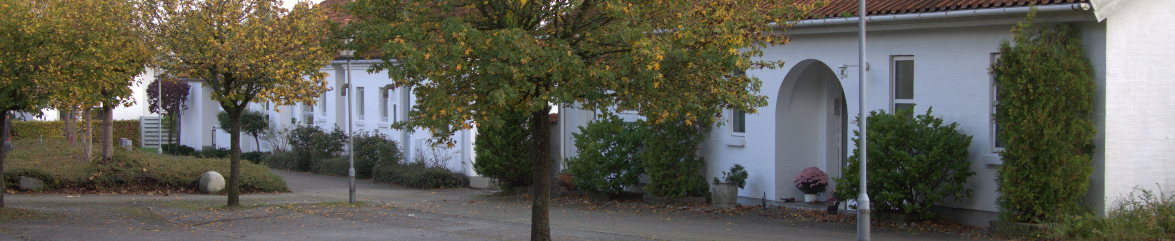 Sørækken i Dalsø Park