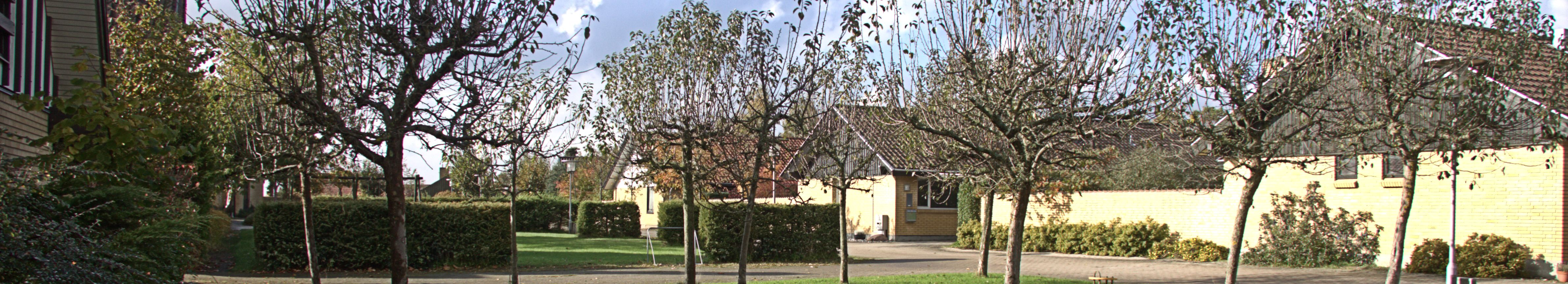 Torv 2 i Dalsø Park